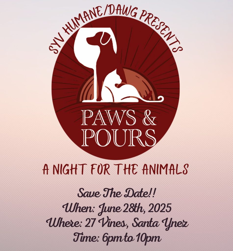 Paws & Pours