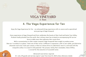 The Vega Experience for Ten