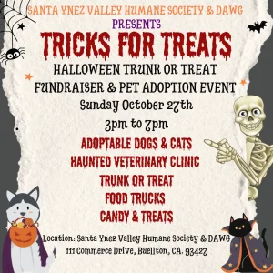 Tricks for Treats