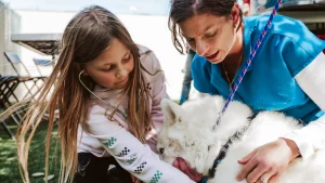Rehoming your pet